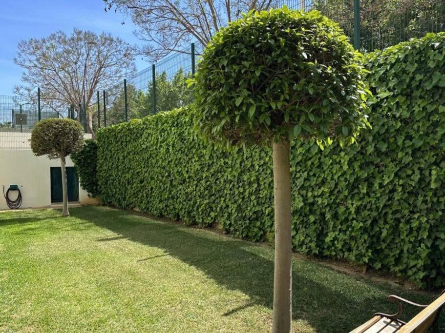 Three Bedroom Apartment, Prime Javea Location מראה חיצוני תמונה